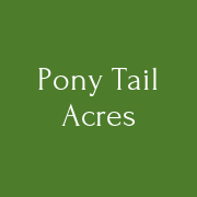 Pony Tail Acres